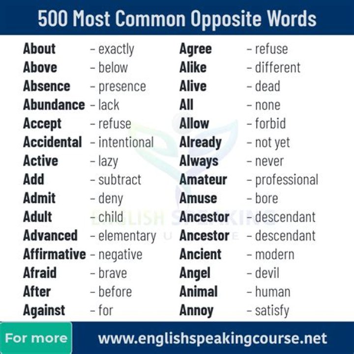 Early birds opposite Words More Answer