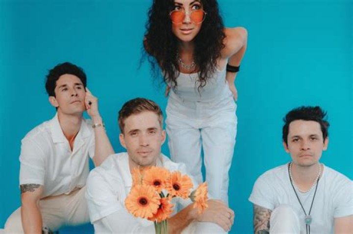 The Summer Set (Band) - Members profile, Facts, Wiki, Achievements, Net worth 2024 (updated) ·